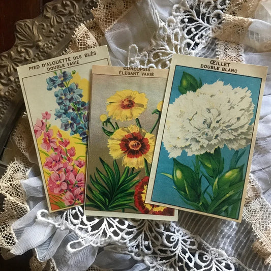 Vintage French Flower Seed Packet Labels Random Set of Three Antique Ephemera From France
